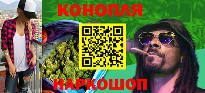 каннабис Камышлов